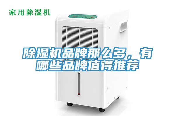 泡芙短视频APP官方下载地址品牌那么多，有哪些品牌值得推荐