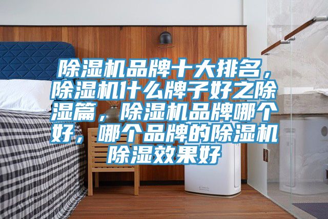 泡芙短视频APP官方下载地址品牌十大排名，泡芙短视频APP官方下载地址什么牌子好之除湿篇，泡芙短视频APP官方下载地址品牌哪个好，哪个品牌的泡芙短视频APP官方下载地址除湿效果好
