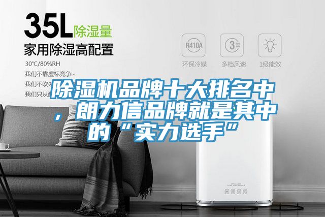 泡芙短视频APP官方下载地址品牌十大排名中，朗力信品牌就是其中的“实力选手”