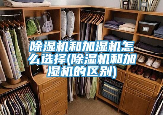 泡芙短视频APP官方下载地址和加湿机怎么选择(泡芙短视频APP官方下载地址和加湿机的区别)