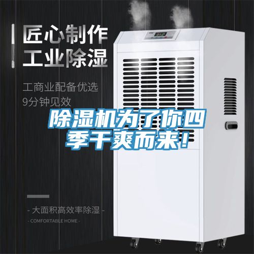 泡芙短视频APP官方下载地址为了你四季干爽而来！