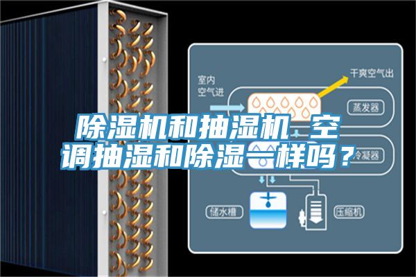 泡芙短视频APP官方下载地址和抽湿机 空调抽湿和除湿一样吗？