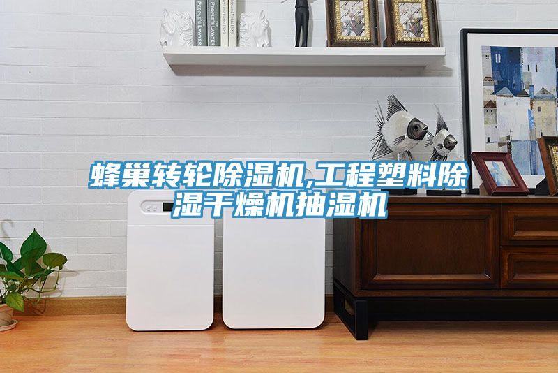 蜂巢转轮泡芙短视频APP官方下载地址,工程塑料除湿干燥机抽湿机