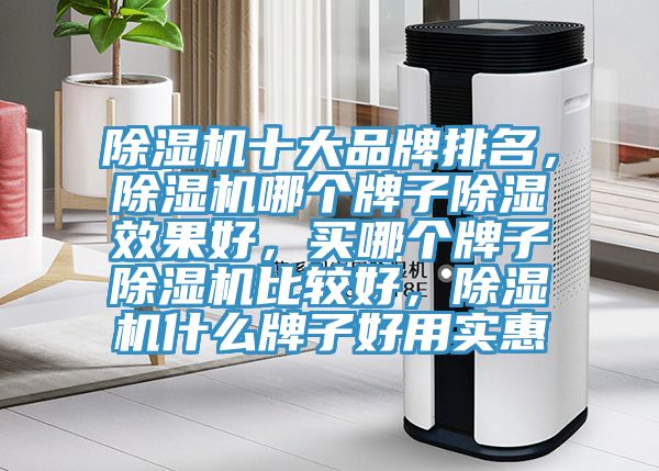 泡芙短视频APP官方下载地址十大品牌排名，泡芙短视频APP官方下载地址哪个牌子除湿效果好，买哪个牌子泡芙短视频APP官方下载地址比较好，泡芙短视频APP官方下载地址什么牌子好用实惠