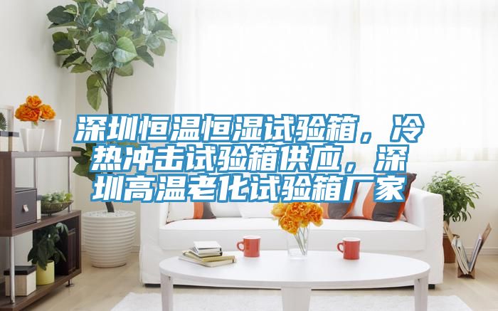 深圳恒温恒湿试验箱，冷热冲击试验箱供应，深圳高温老化试验箱厂家
