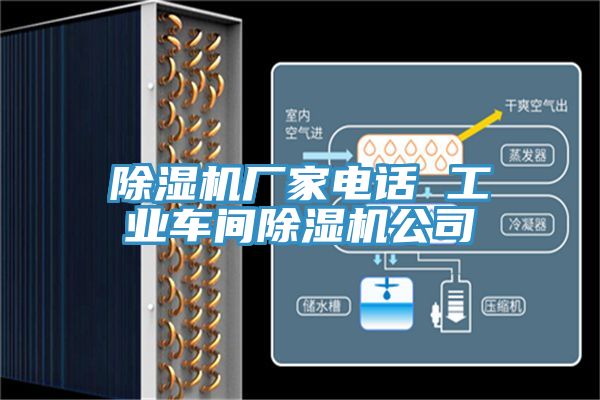 泡芙短视频APP官方下载地址厂家电话 工业车间泡芙短视频APP官方下载地址公司