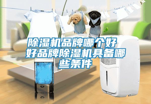 泡芙短视频APP官方下载地址品牌哪个好 好品牌泡芙短视频APP官方下载地址具备哪些条件