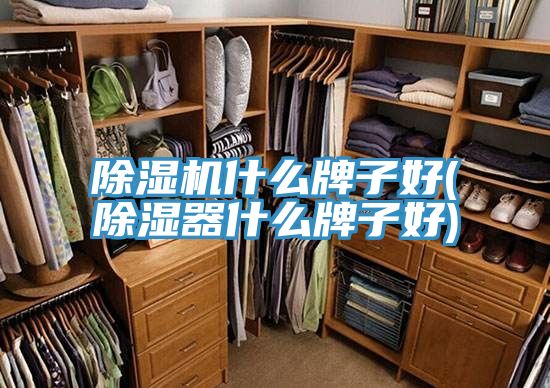 泡芙短视频APP官方下载地址什么牌子好(除湿器什么牌子好)