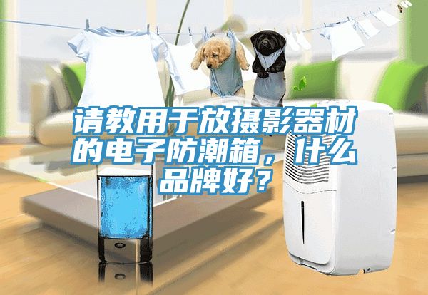 请教用于放摄影器材的电子防潮箱，什么品牌好？