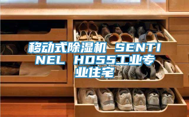 移动式泡芙短视频APP官方下载地址 SENTINEL HD55工业专业住宅