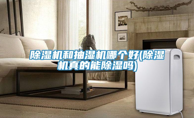 泡芙短视频APP官方下载地址和抽湿机哪个好(泡芙短视频APP官方下载地址真的能除湿吗)