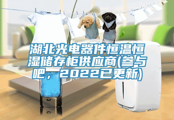 湖北光电器件恒温恒湿储存柜供应商(参与吧，2022已更新)