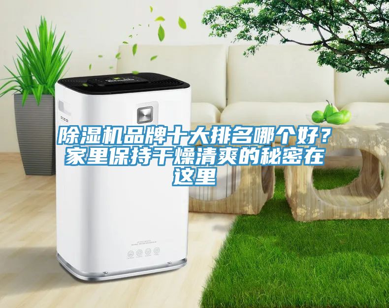 泡芙短视频APP官方下载地址品牌十大排名哪个好？家里保持干燥清爽的秘密在这里