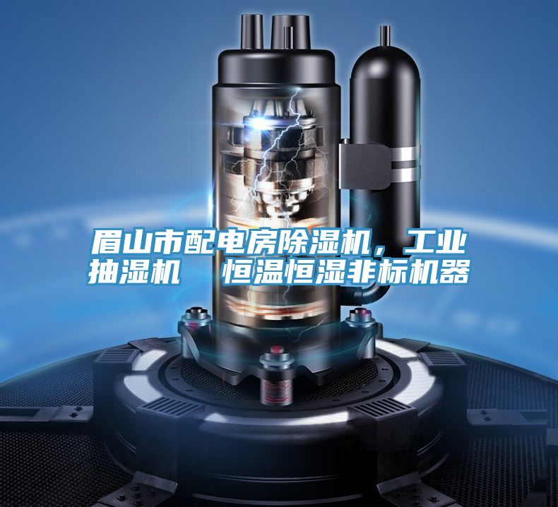 眉山市配电房泡芙短视频APP官方下载地址，工业抽湿机  恒温恒湿非标机器