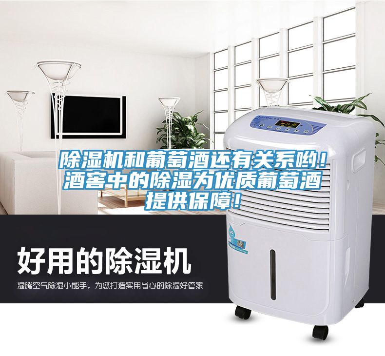 泡芙短视频APP官方下载地址和葡萄酒还有关系哟！酒窖中的除湿为优质葡萄酒提供保障！