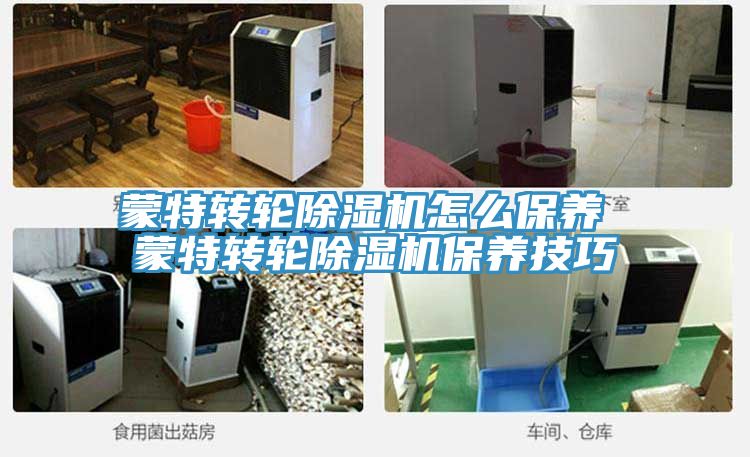 蒙特转轮泡芙短视频APP官方下载地址怎么保养 蒙特转轮泡芙短视频APP官方下载地址保养技巧