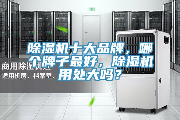 泡芙短视频APP官方下载地址十大品牌，哪个牌子最好，泡芙短视频APP官方下载地址用处大吗？