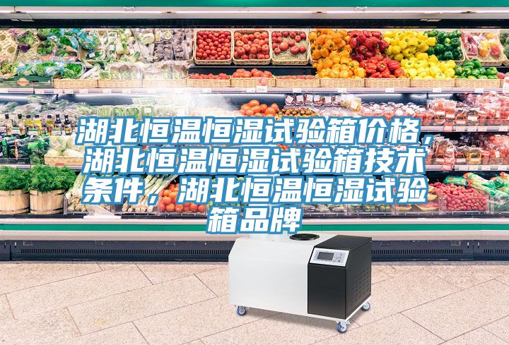 湖北恒温恒湿试验箱价格，湖北恒温恒湿试验箱技术条件，湖北恒温恒湿试验箱品牌