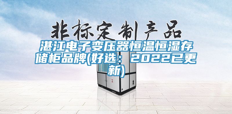 湛江电子变压器恒温恒湿存储柜品牌(好选：2022已更新)