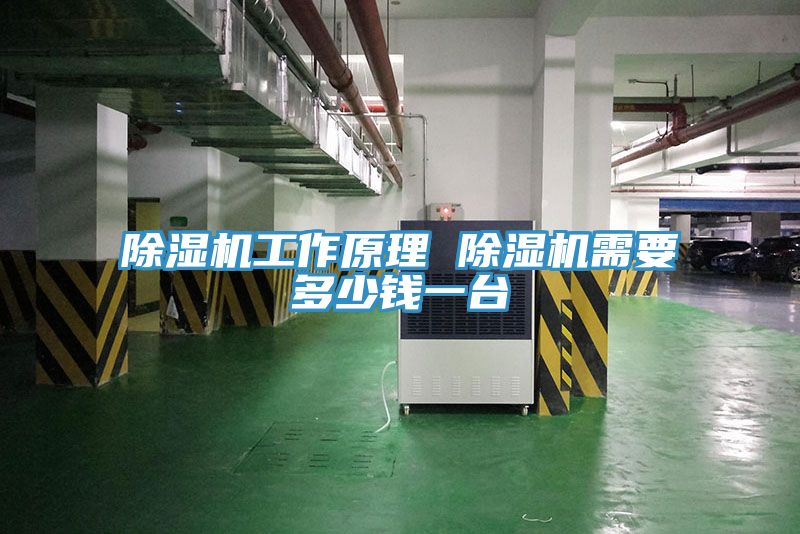 泡芙短视频APP官方下载地址工作原理 泡芙短视频APP官方下载地址需要多少钱一台