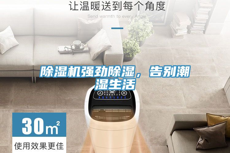 泡芙短视频APP官方下载地址强劲除湿，告别潮湿生活