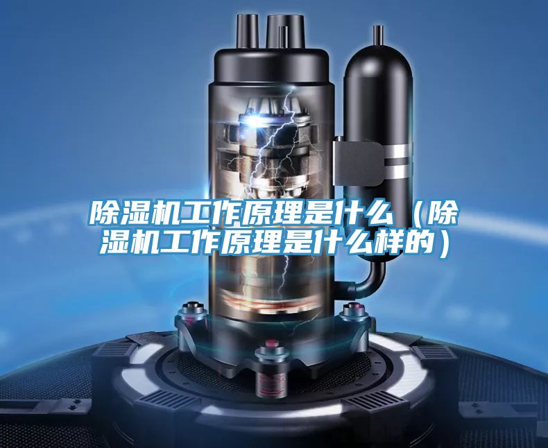 泡芙短视频APP官方下载地址工作原理是什么（泡芙短视频APP官方下载地址工作原理是什么样的）