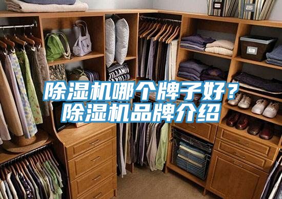 泡芙短视频APP官方下载地址哪个牌子好？泡芙短视频APP官方下载地址品牌介绍