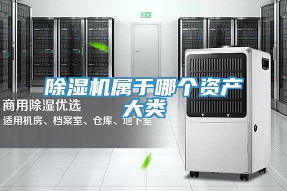 泡芙短视频APP官方下载地址属于哪个资产大类