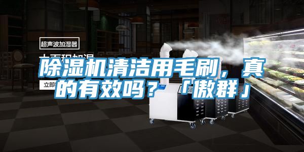 泡芙短视频APP官方下载地址清洁用毛刷，真的有效吗？「傲群」