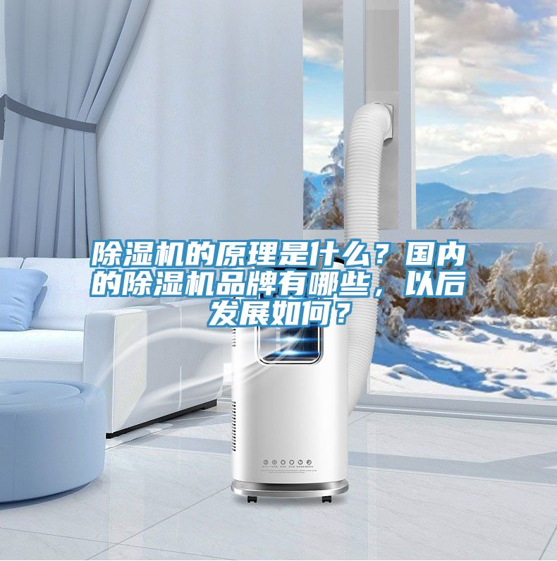 泡芙短视频APP官方下载地址的原理是什么？国内的泡芙短视频APP官方下载地址品牌有哪些，以后发展如何？