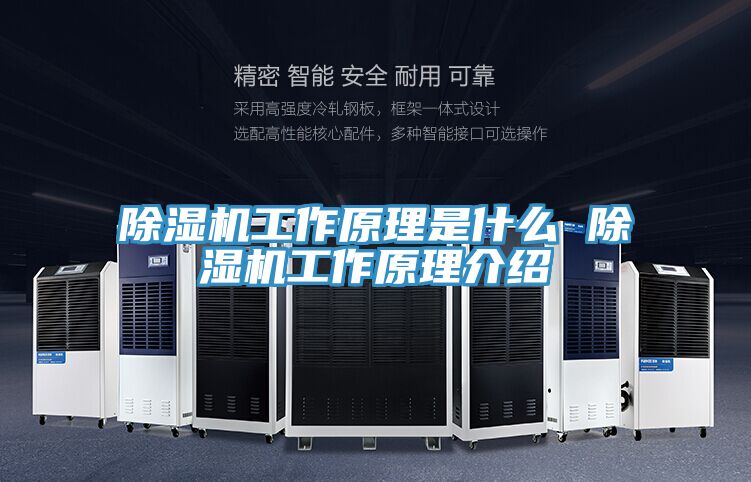 泡芙短视频APP官方下载地址工作原理是什么 泡芙短视频APP官方下载地址工作原理介绍