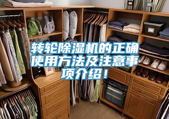 转轮泡芙短视频APP官方下载地址的正确使用方法及注意事项介绍！