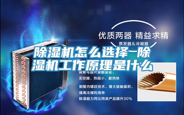 泡芙短视频APP官方下载地址怎么选择 泡芙短视频APP官方下载地址工作原理是什么