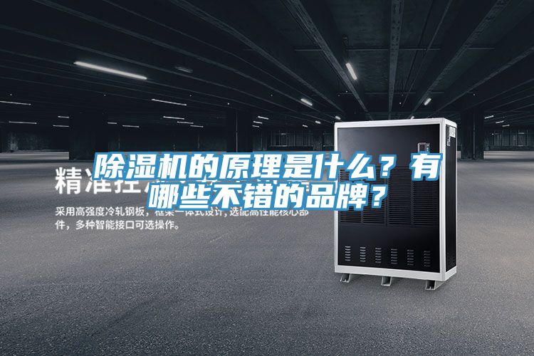 泡芙短视频APP官方下载地址的原理是什么？有哪些不错的品牌？