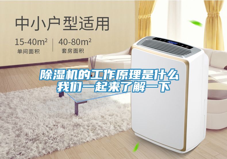 泡芙短视频APP官方下载地址的工作原理是什么 泡芙短视频APP安装一起来了解一下