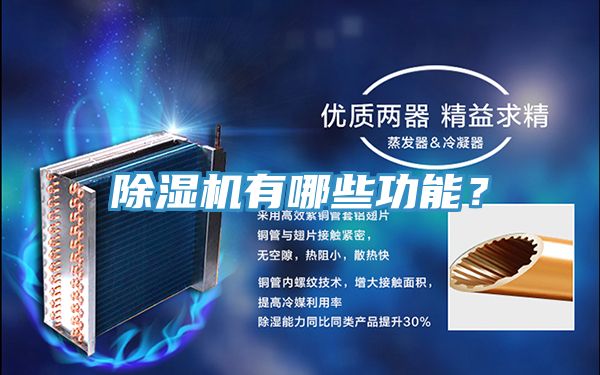 泡芙短视频APP官方下载地址有哪些功能？