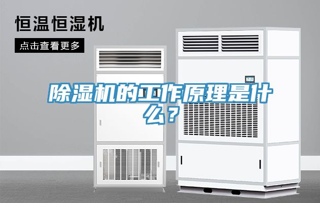 泡芙短视频APP官方下载地址的工作原理是什么？