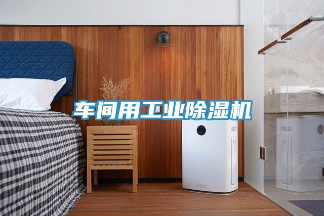 车间用工业泡芙短视频APP官方下载地址