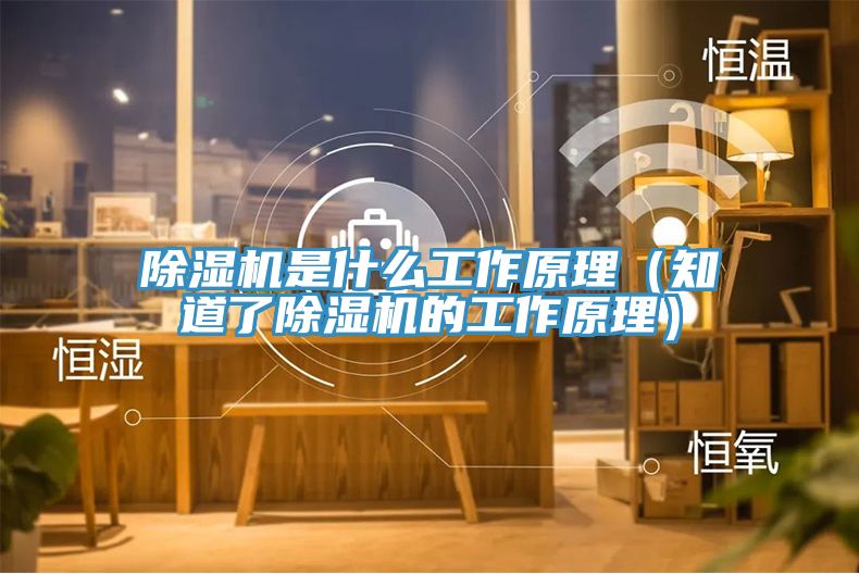 泡芙短视频APP官方下载地址是什么工作原理（知道了泡芙短视频APP官方下载地址的工作原理）