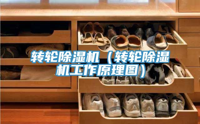 转轮泡芙短视频APP官方下载地址（转轮泡芙短视频APP官方下载地址工作原理图）