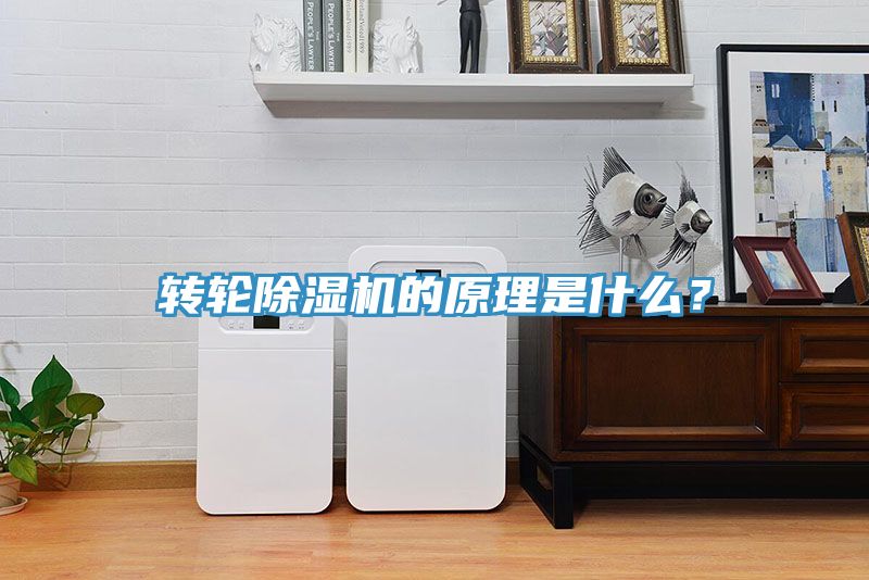 转轮泡芙短视频APP官方下载地址的原理是什么？