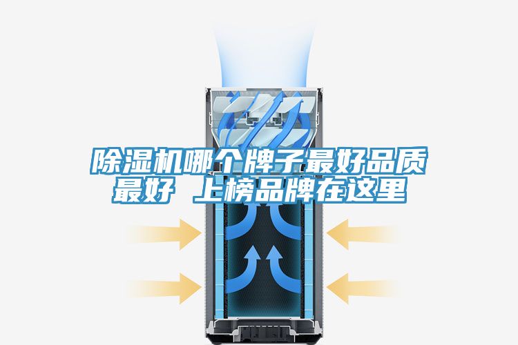 泡芙短视频APP官方下载地址哪个牌子最好品质最好 上榜品牌在这里