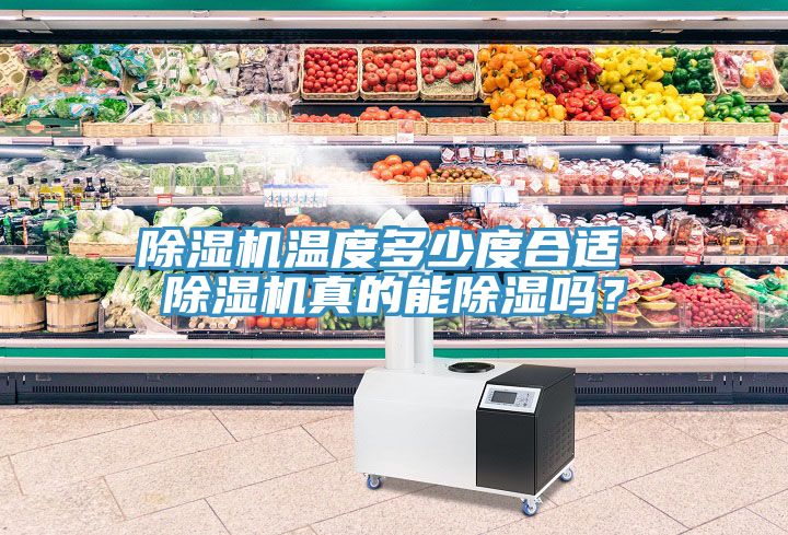 泡芙短视频APP官方下载地址温度多少度合适 泡芙短视频APP官方下载地址真的能除湿吗？