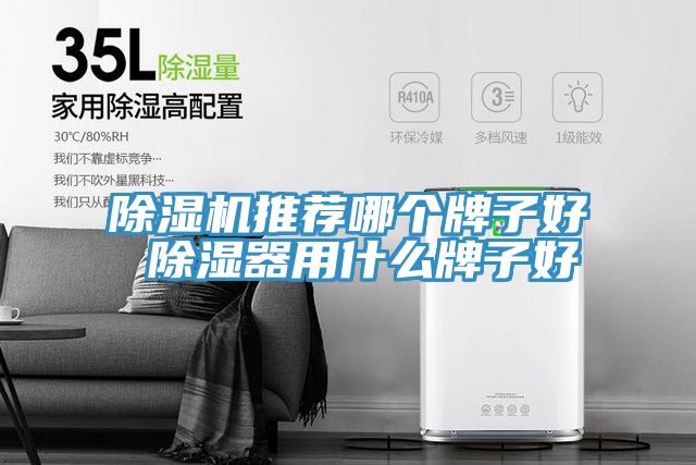 泡芙短视频APP官方下载地址推荐哪个牌子好 除湿器用什么牌子好