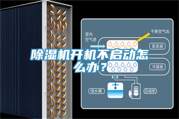 泡芙短视频APP官方下载地址开机不启动怎么办？